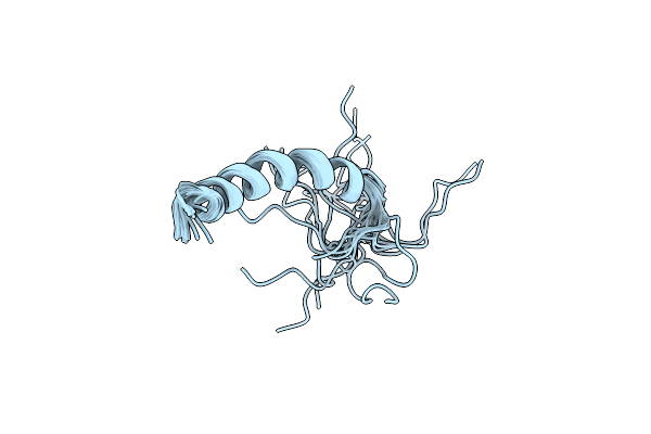 2MWT image