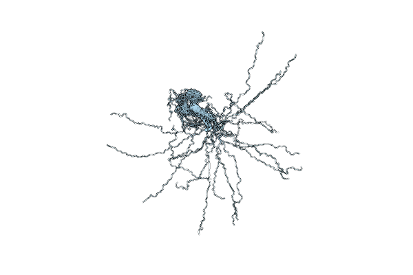 2MXX image