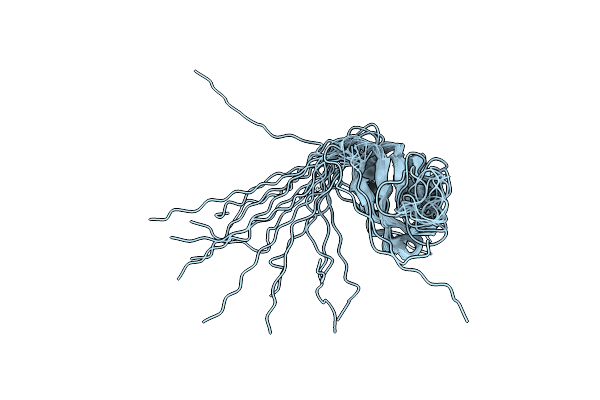 2MZR image