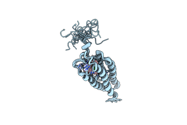 2N02 image