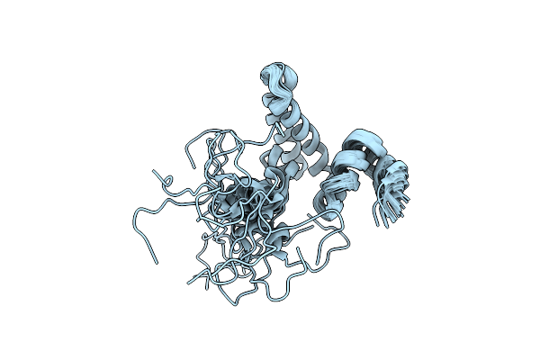 2N05 image