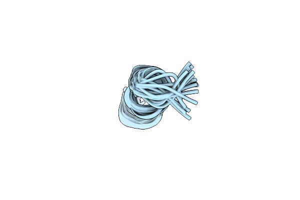 2N08 image