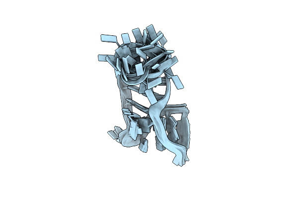 2N0R image