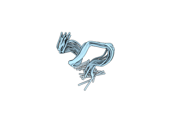 2N0X image
