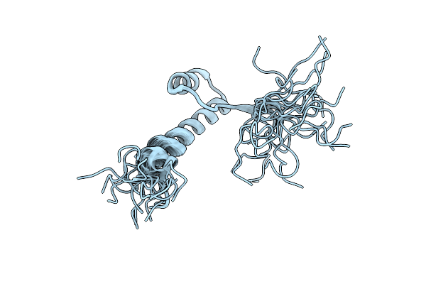 2N10 image