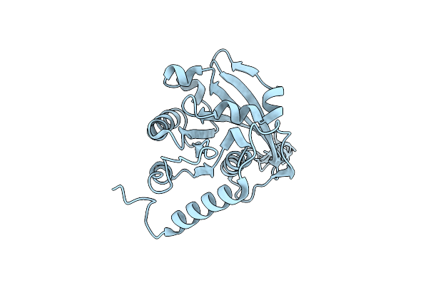 2N1B image