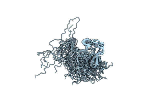 2N1I image