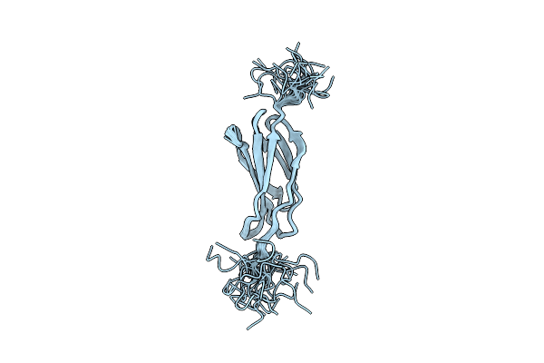 2N1K image