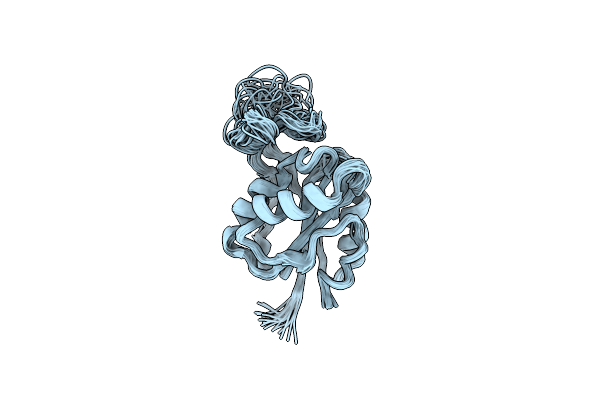 2N1M image