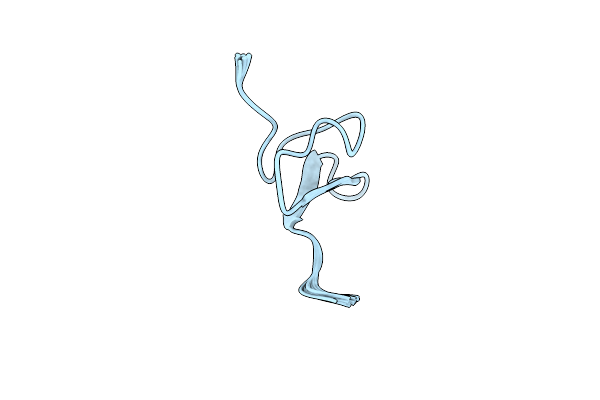 2N1N image