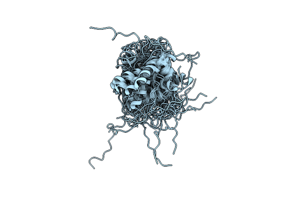 2N1R image