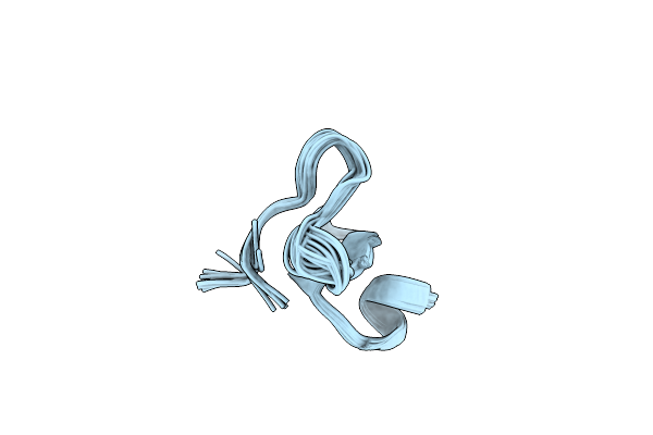 2N1S image