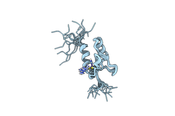 2N1U image
