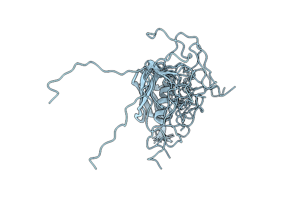 2N1V image