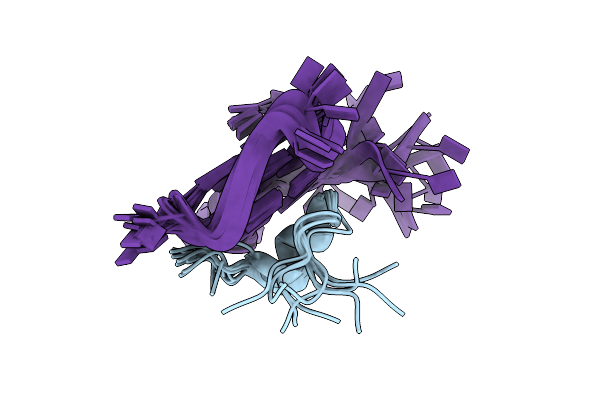 2N21 image
