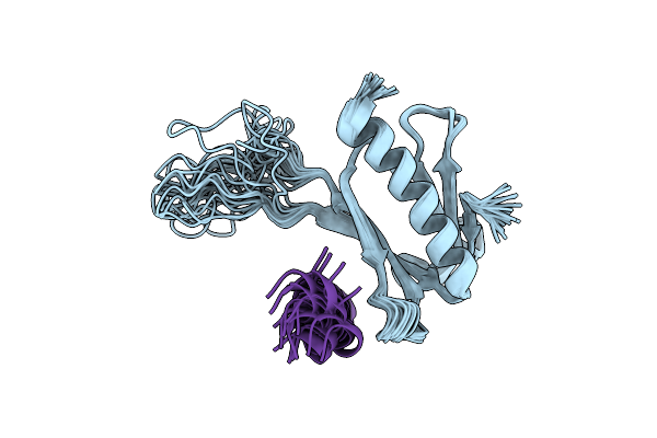 2N23 image