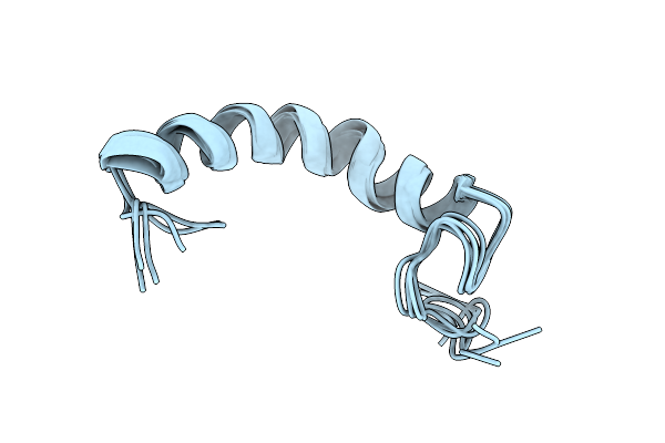 2N2C image