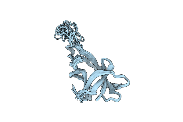 2N2E image