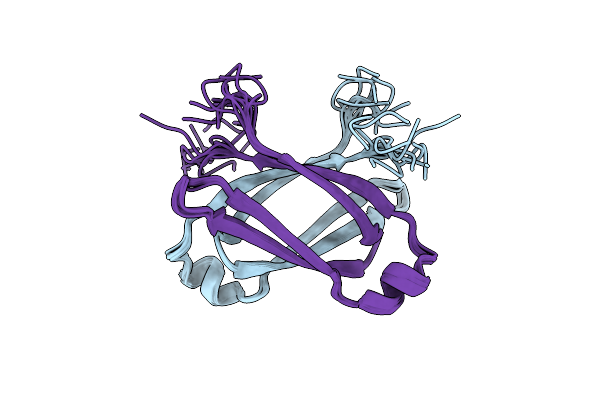 2N2J image