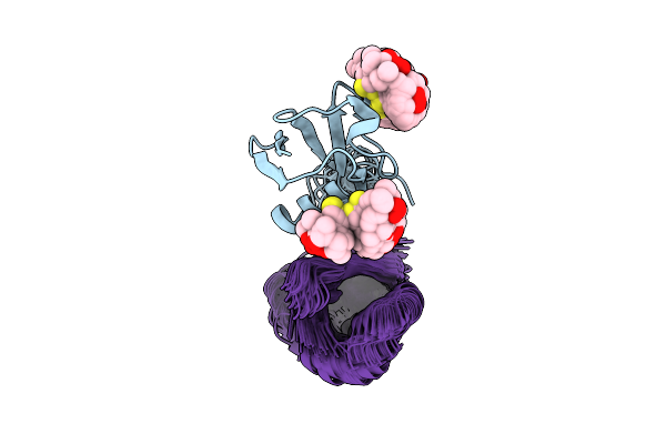 2N2K image