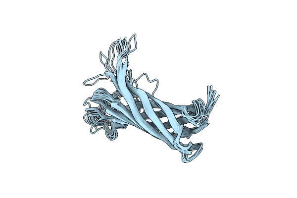 2N2M image