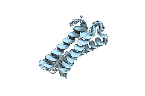 2N2N image