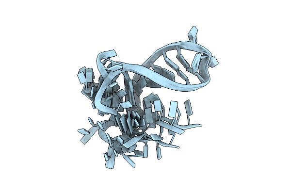 2N2P image