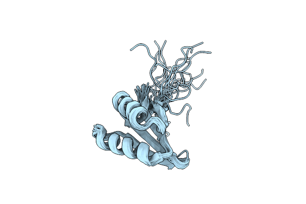 2N2T image