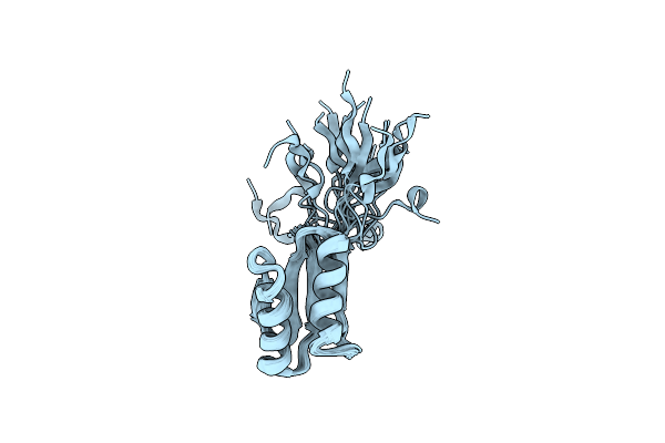 2N2U image