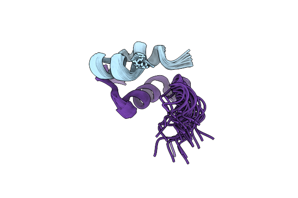 2N2V image