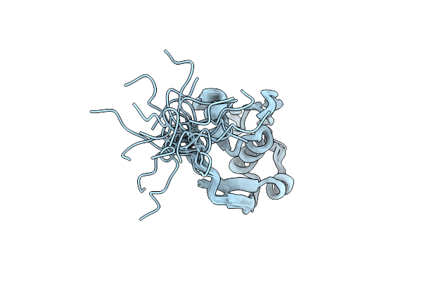2N2Y image