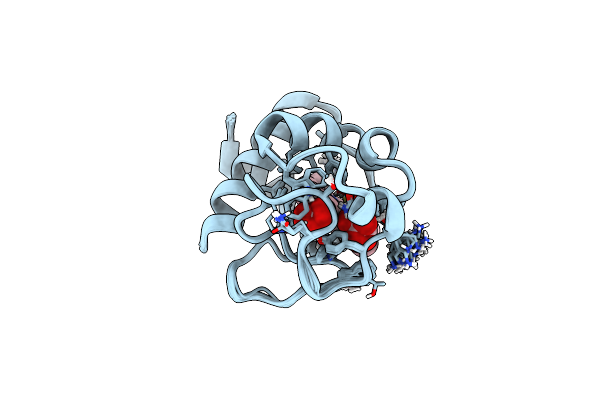 2N3B image
