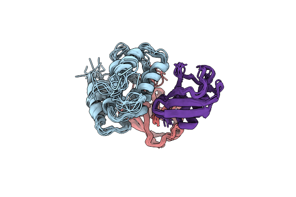 2N3V image