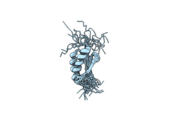 2N4E image