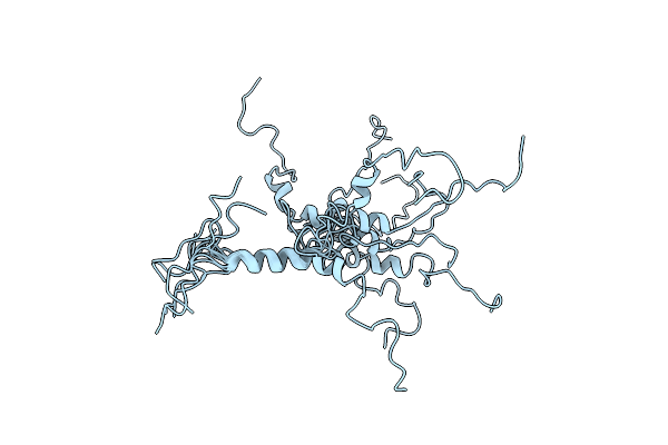 2N4G image