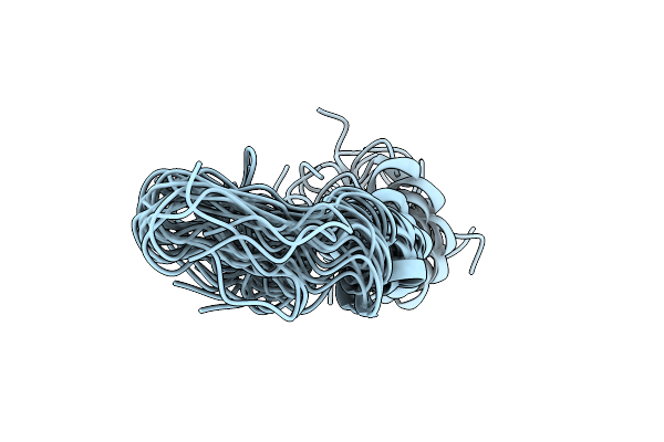 2N4K image