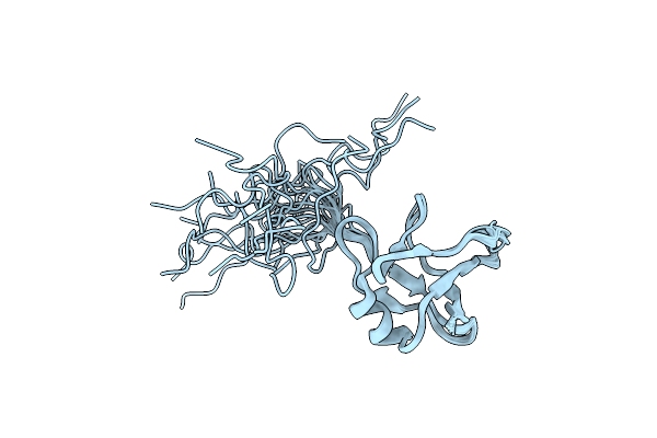 2N4P image
