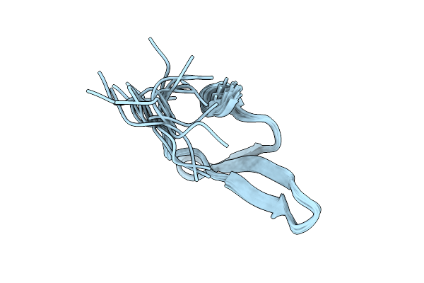 2N4U image