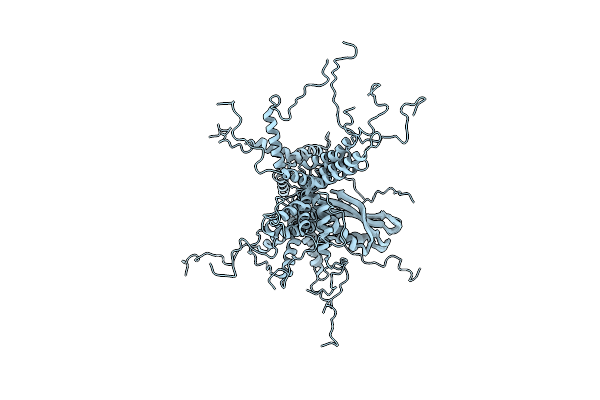 2N51 image