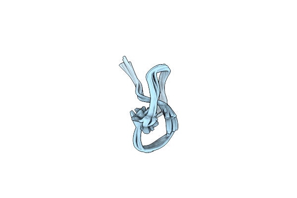 2N5C image
