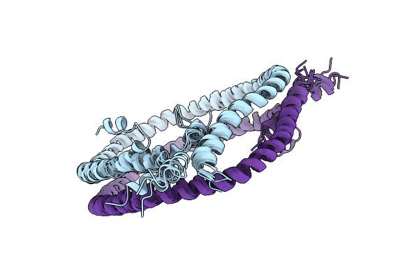2N5E image