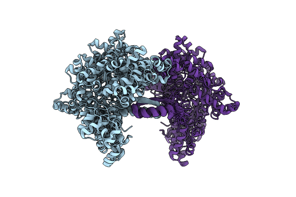 2N5G image