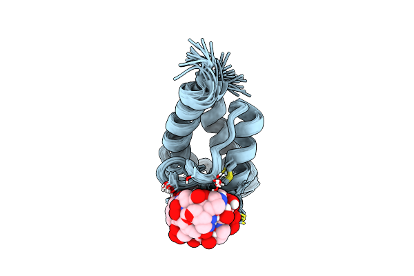 2N5I image