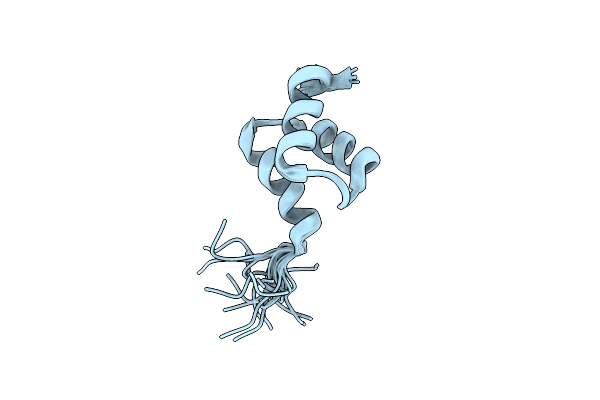 2N5J image