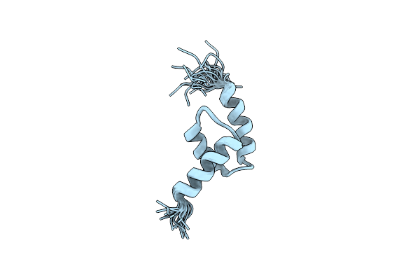 2N5L image