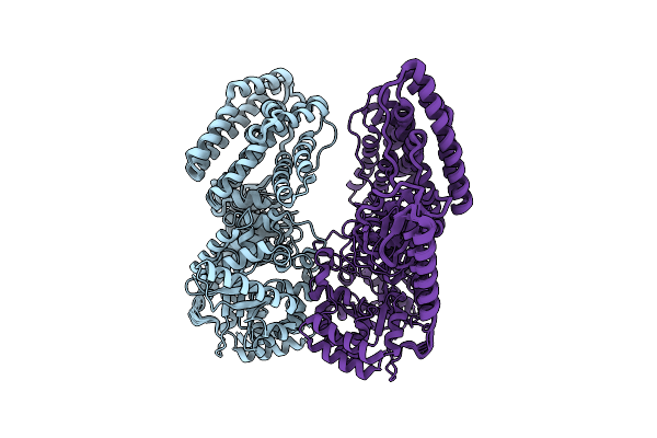2N5T image