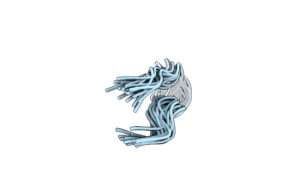 2N5W image