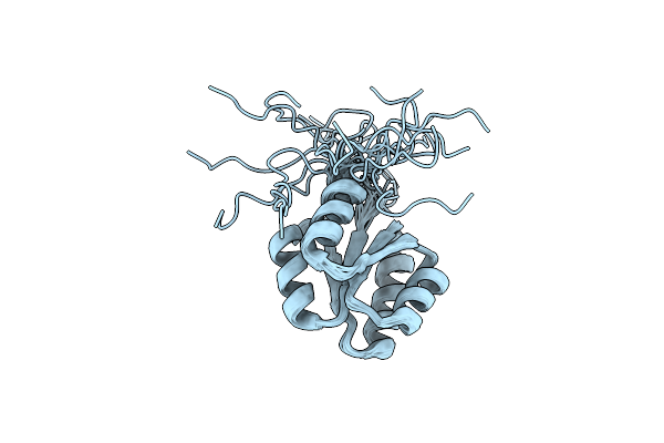2N75 image