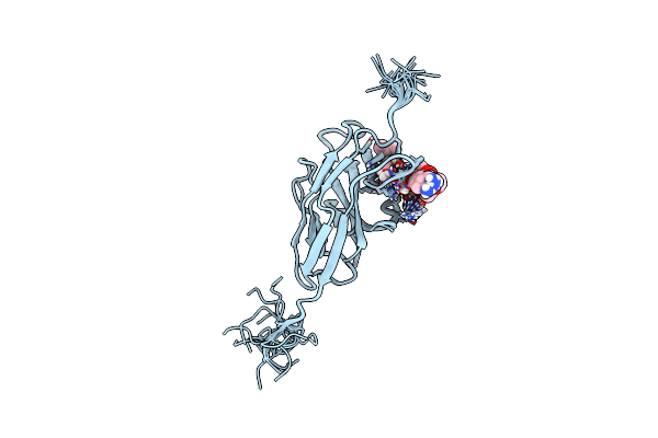 2N7B image