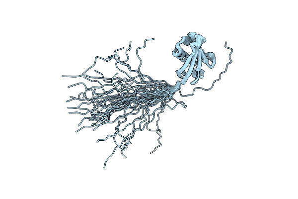 2N7D image
